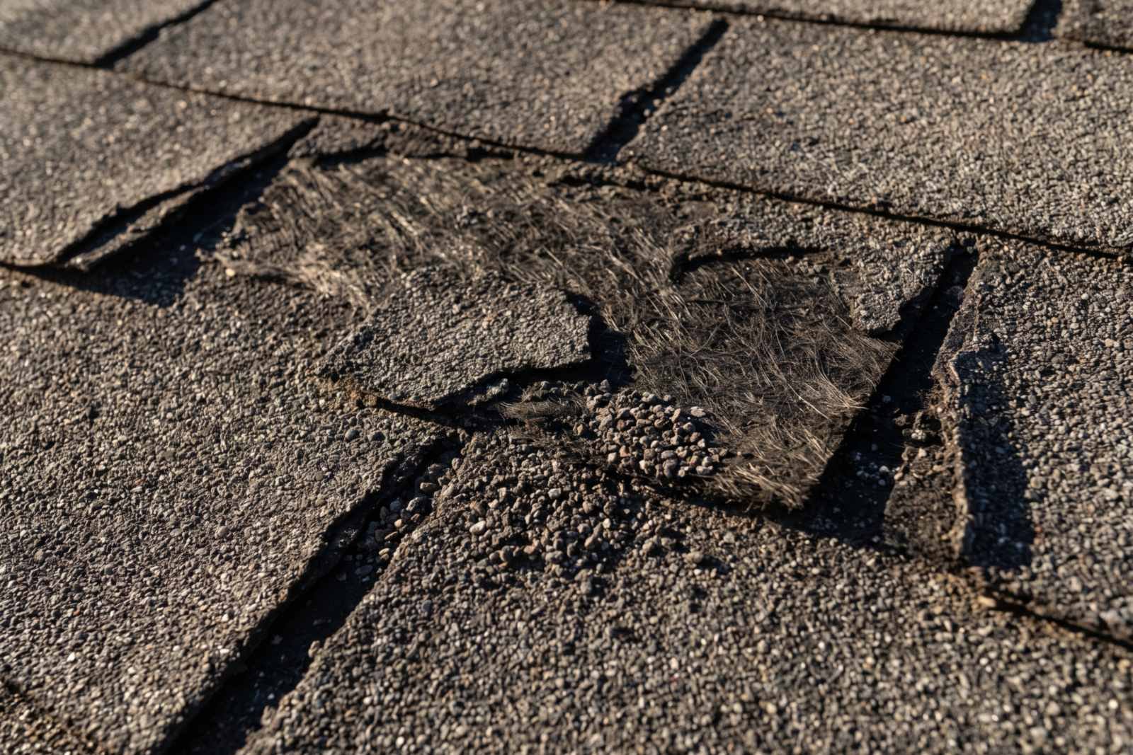 Close-up of heavy granule loss and torn shingles on an aging asphalt roof